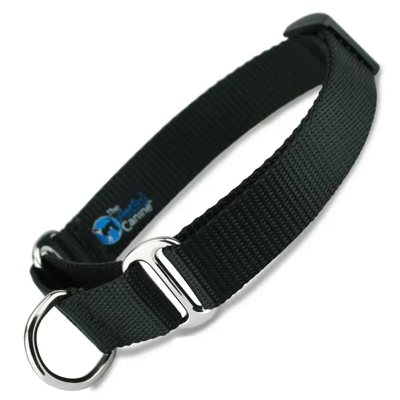 Black Nylon Martingale Dog Collar
