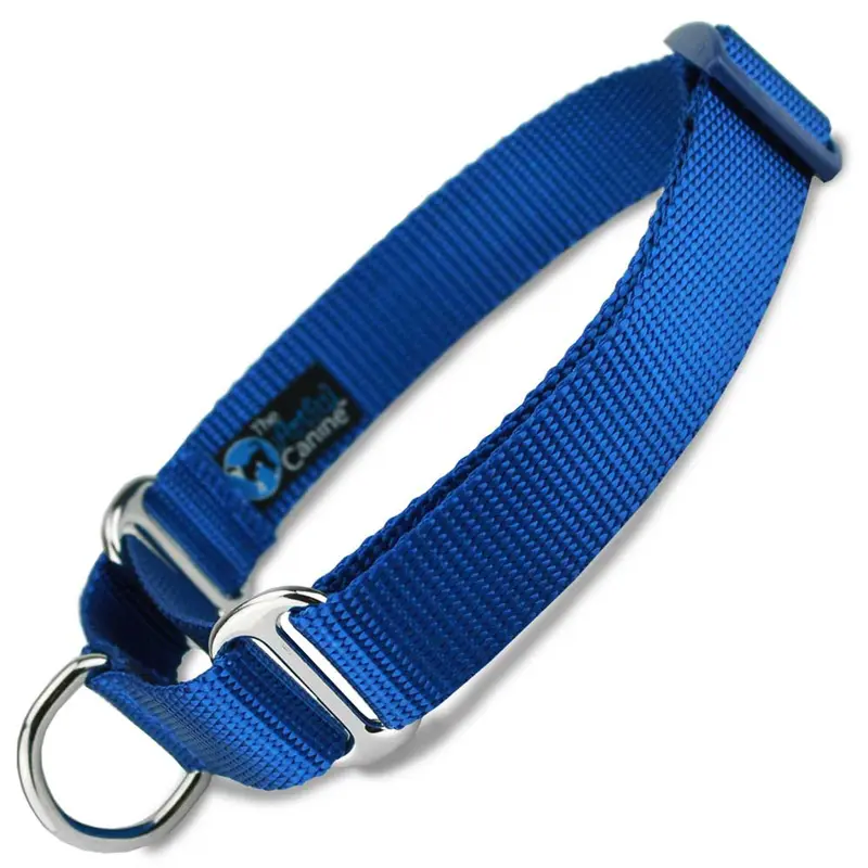 Blue Nylon Martingale Collar