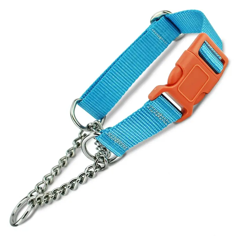 Custom Martingale Collar with Buckle & Chain Loop, Basic Nylon