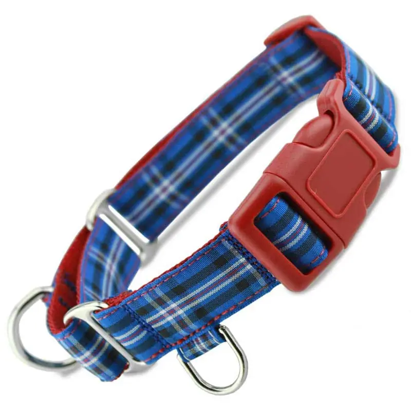 Custom Martingale Collar with Buckle, Decorative Fabric