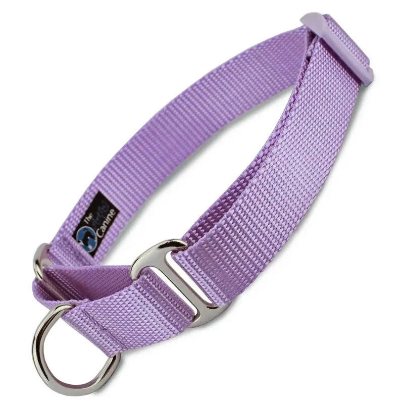 Lavender Nylon Martingale Collar