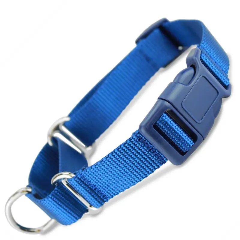 Martingale Collar with Buckle, Blue Nylon