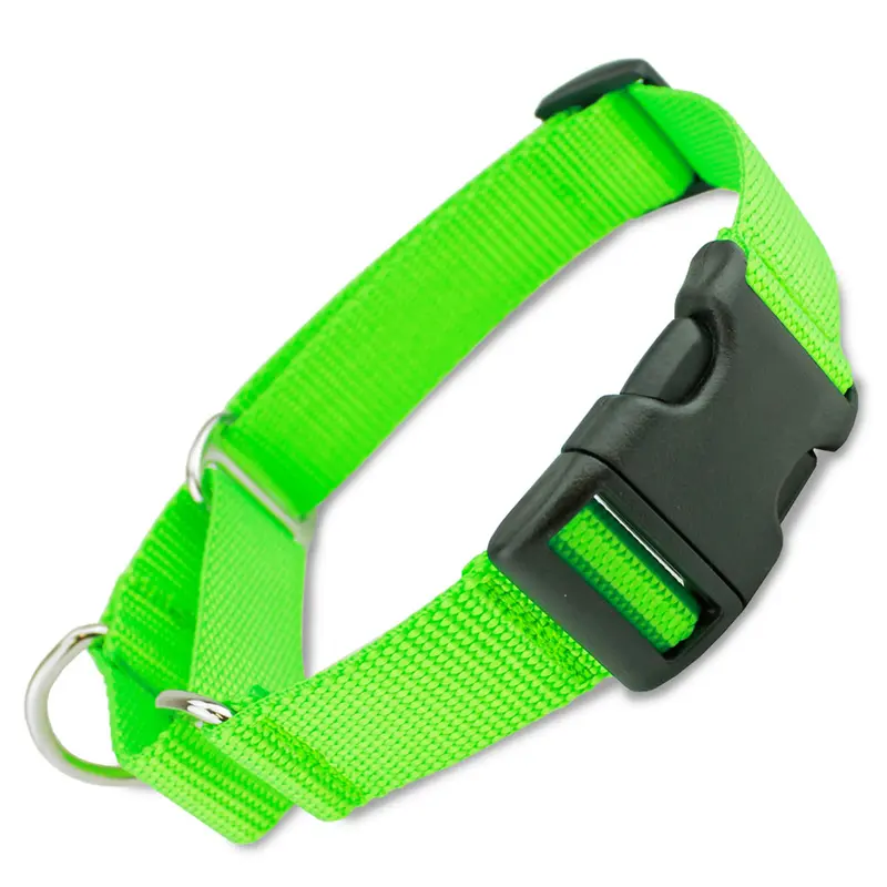 Martingale Collar with Buckle, Lime Green Nylon