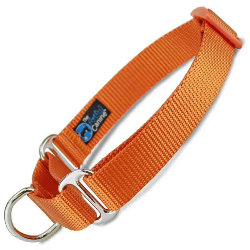 Orange Nylon Martingale Collar
