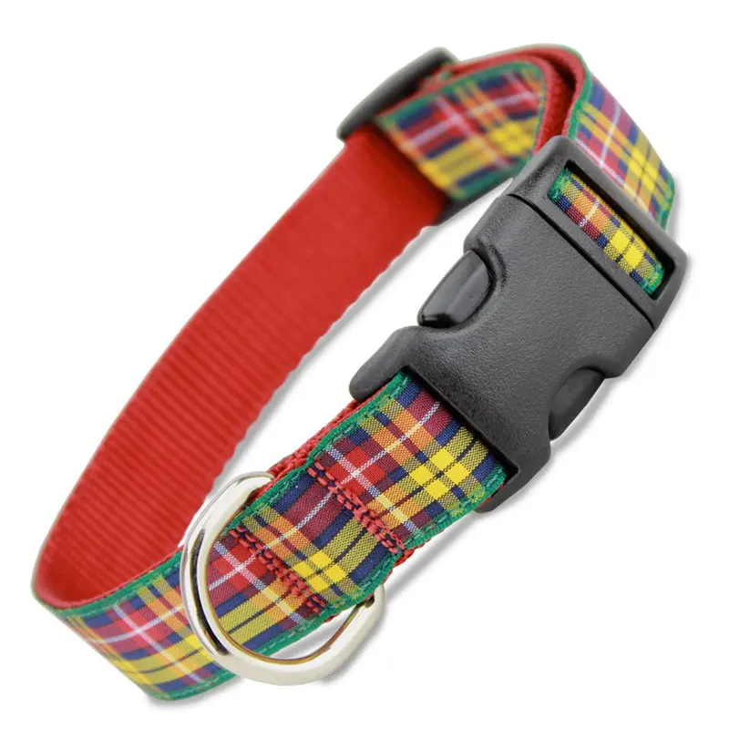 Plaid Dog Collar, Buchanan Tartan