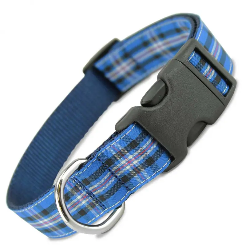 Plaid Dog Collar, Rangers Tartan