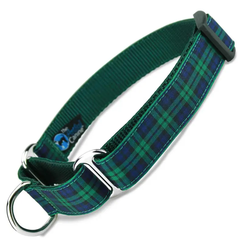 Plaid Martingale Collar, Blackwatch Tartan