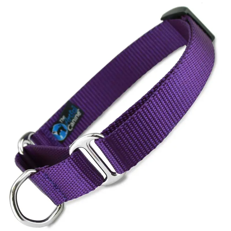 Purple Nylon Martingale Collar