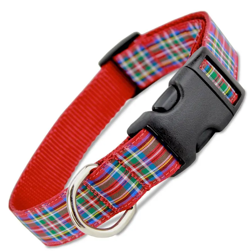Scottish Plaid Dog Collar, Royal Stewart Tartan