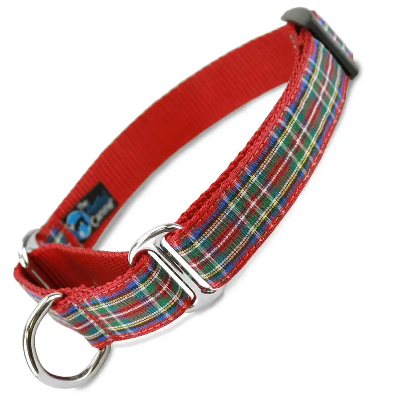 Scottish Plaid Martingale Collar, Royal Stewart Tartan
