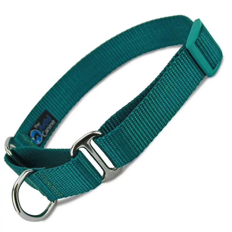 Teal Nylon Martingale Collar