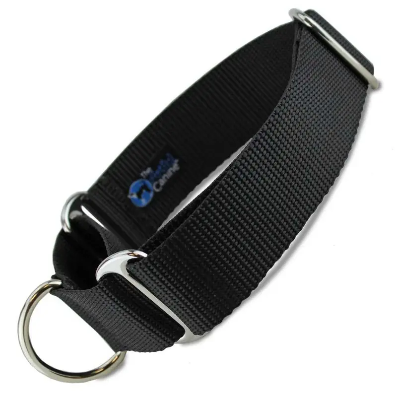 1.5" Wide Martingale Collar, Black Nylon
