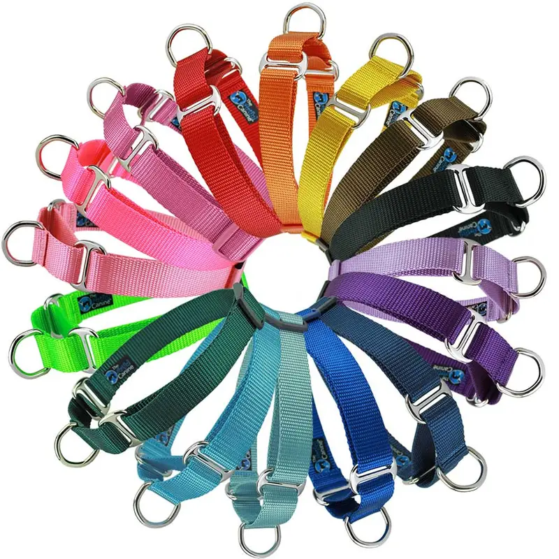 Custom Slip-on Martingale Collar, Basic Nylon