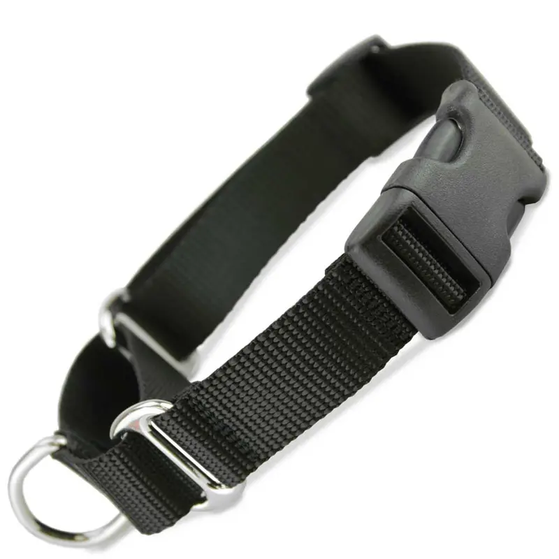 Martingale Collar with Buckle, Black Nylon