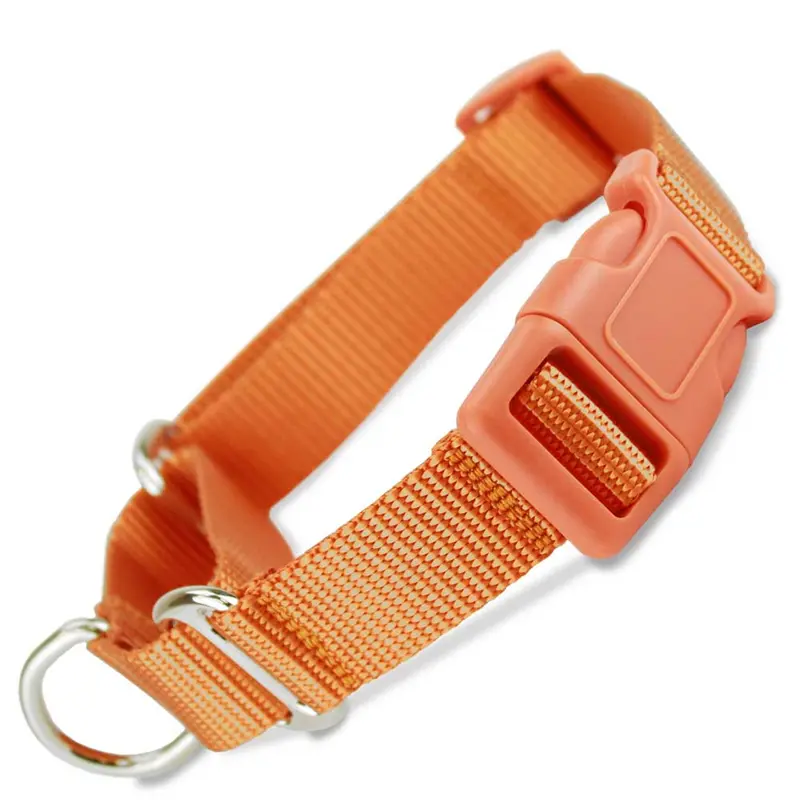 Martingale Collar with Buckle, Orange Nylon