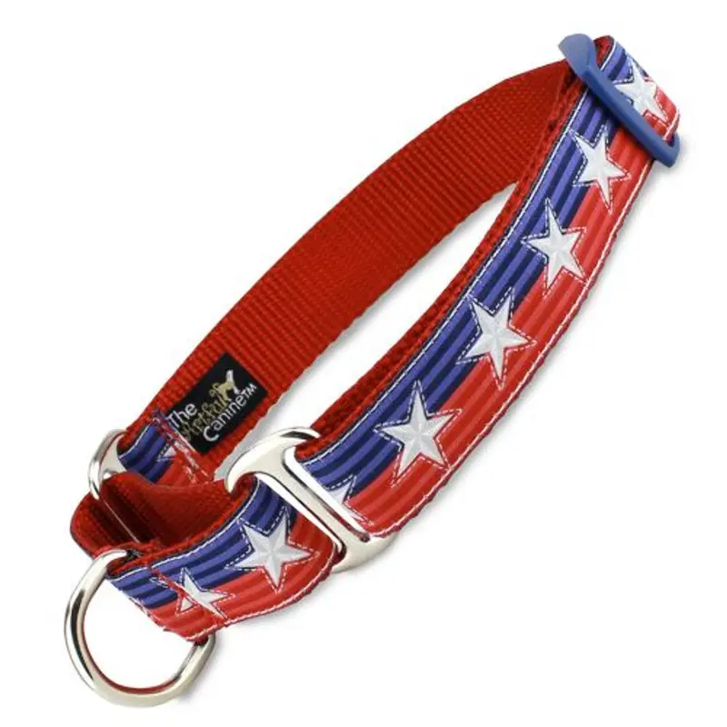 Patriotic Martingale Collar, Stars & Stitches