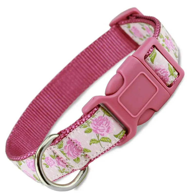 Pink Roses on Pink Floral Dog Collar