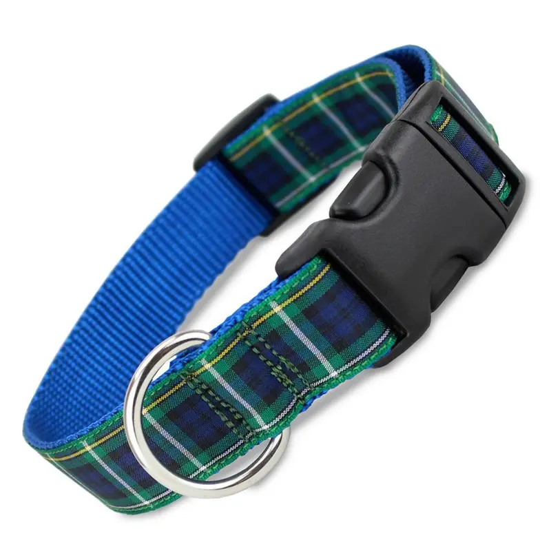 Plaid Dog Collar, Campbell Tartan