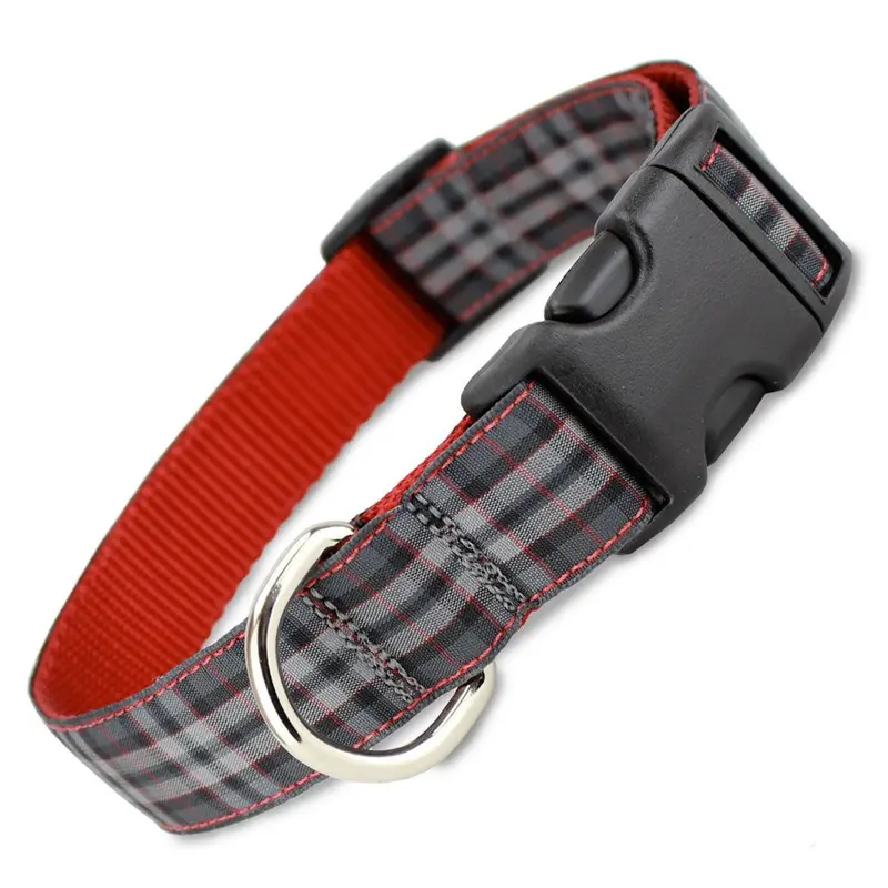 Plaid Dog Collar, Pride of Scotland Tartan