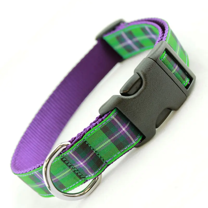 Plaid Dog Collar, Purple and Green Tartan