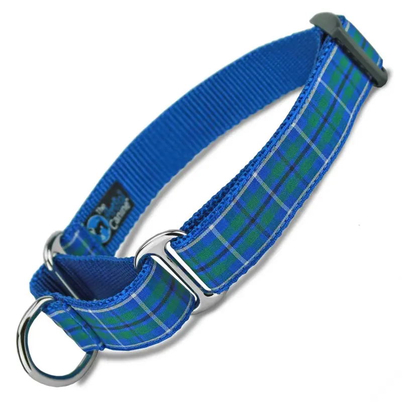 Plaid Martingale Collar, Douglas Tartan