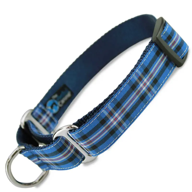 Plaid Martingale Dog Collar, Rangers Tartan