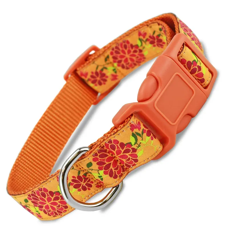Summer Blossom Floral Dog Collar