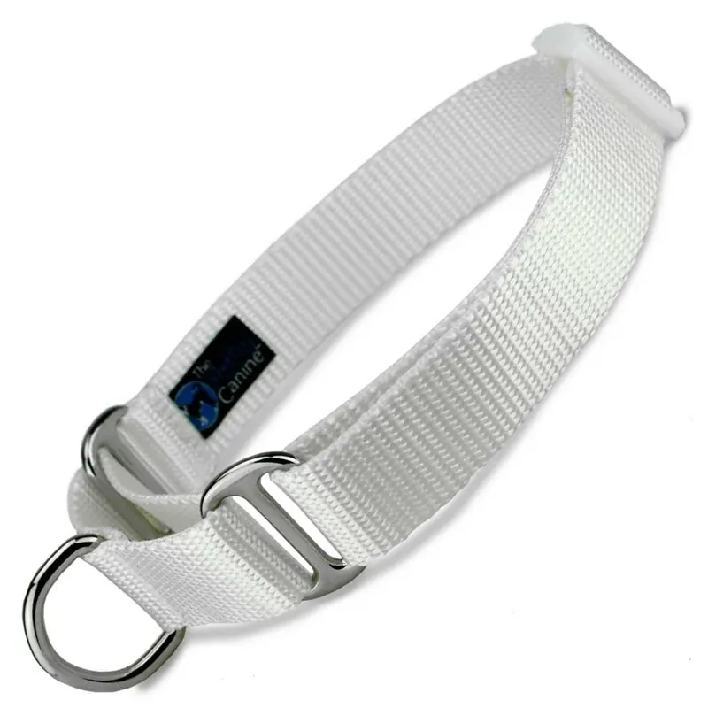 White Nylon Martingale Dog Collar