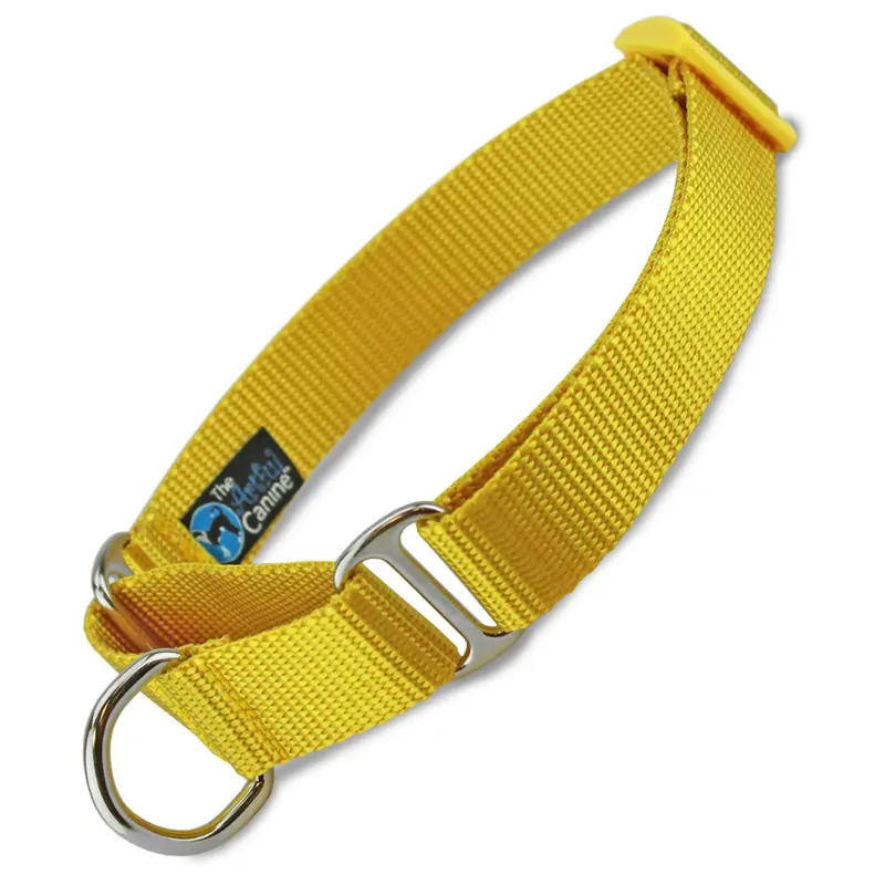Yellow Nylon Martingale Collar