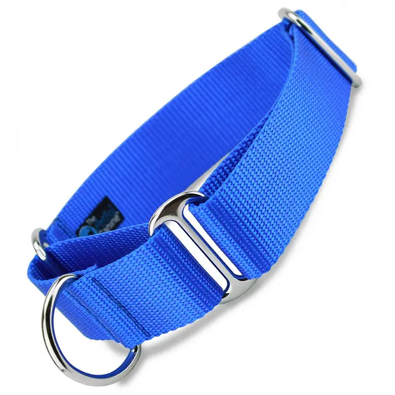 1.5 Wide Martingale Collar, Blue Nylon