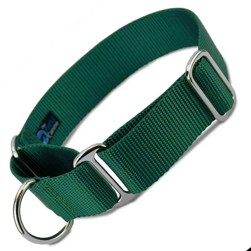1.5" Wide Martingale Collar, Green Nylon