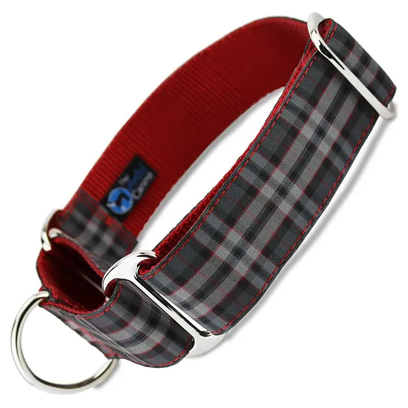 1.5" Wide Martingale Collar, Pride of Scotland Plaid Tartan