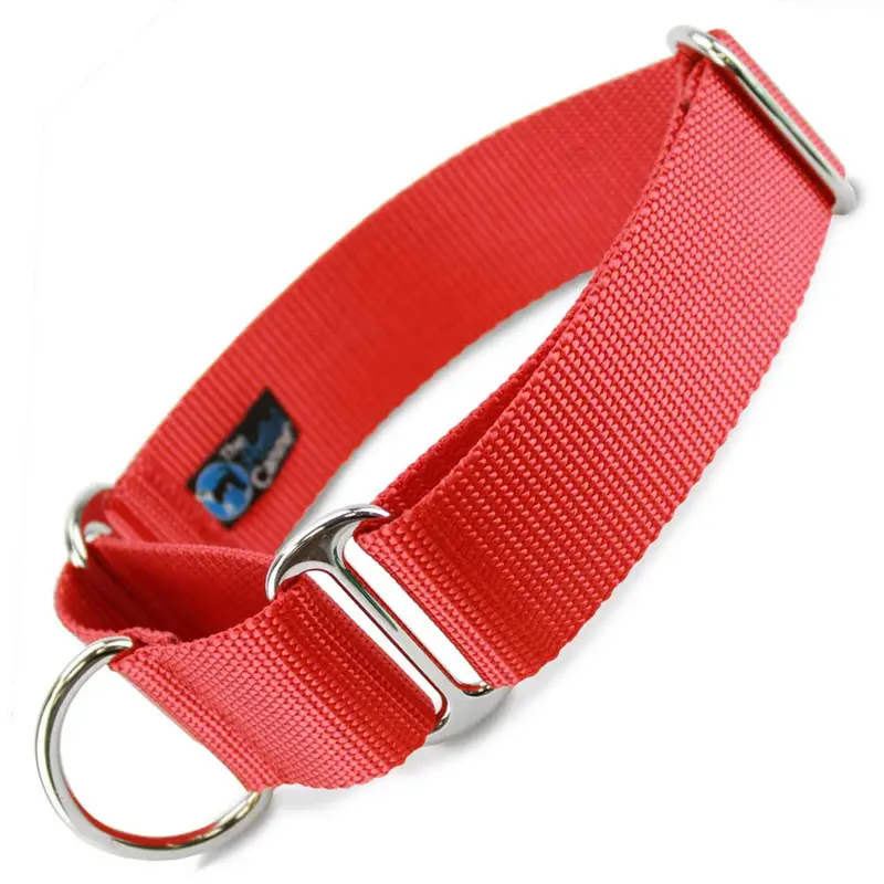 1.5 Wide Martingale Collar, Red Nylon