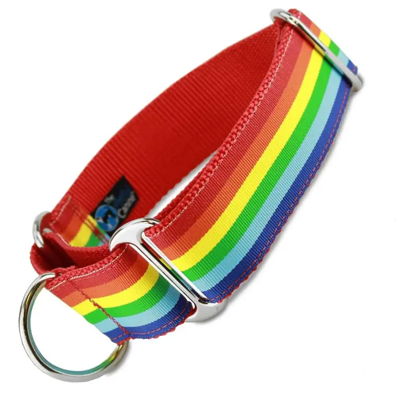 1.5" Wide Rainbow Martingale Collar