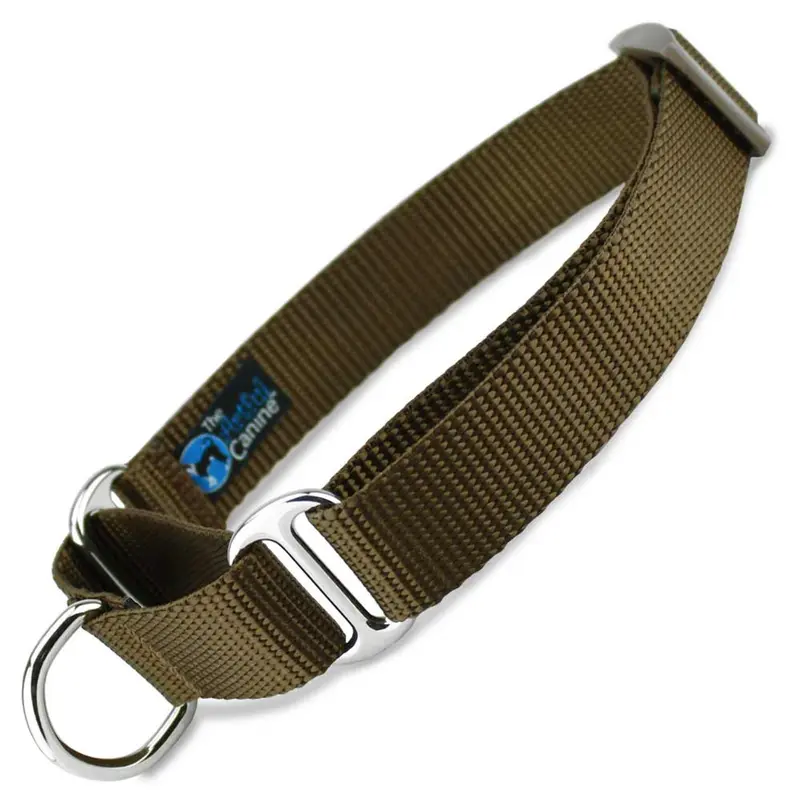 Brown Nylon Martingale Dog Collar