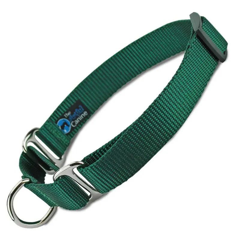 Green Nylon Martingale Collar