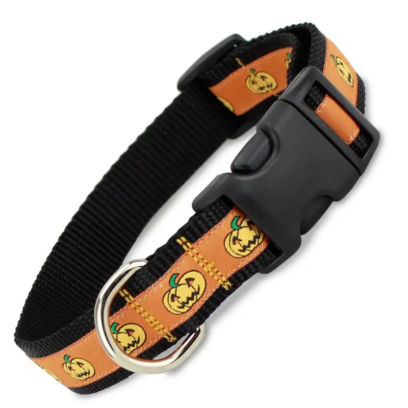 Halloween Dog Collar with Jack O Lanterns