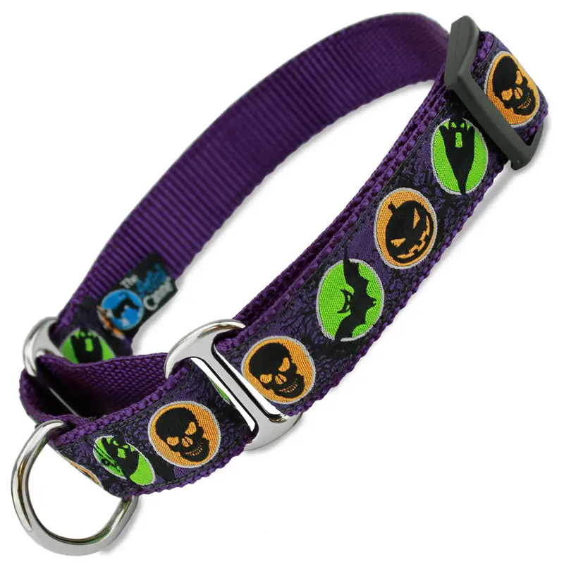 Halloween Martingale Collar