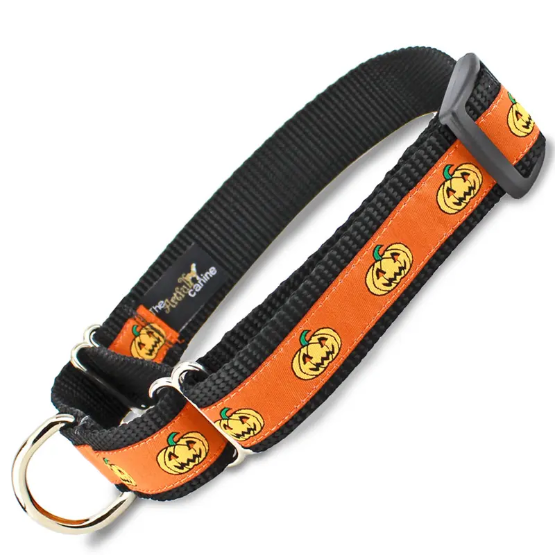 Halloween Martingale Collar with Jack-o-Lanterns