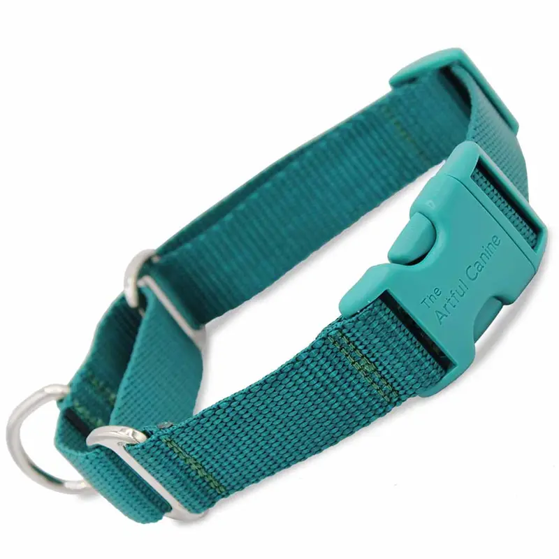 Martingale Collar with Buckle, Teal Nylon
