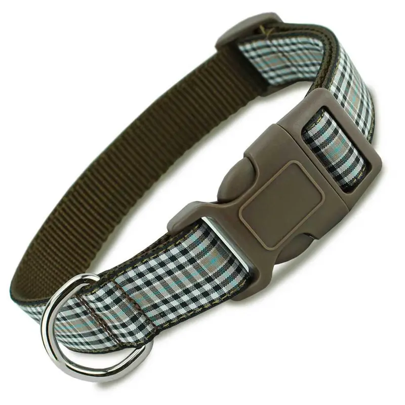Plaid Dog Collar, Burns Tartan