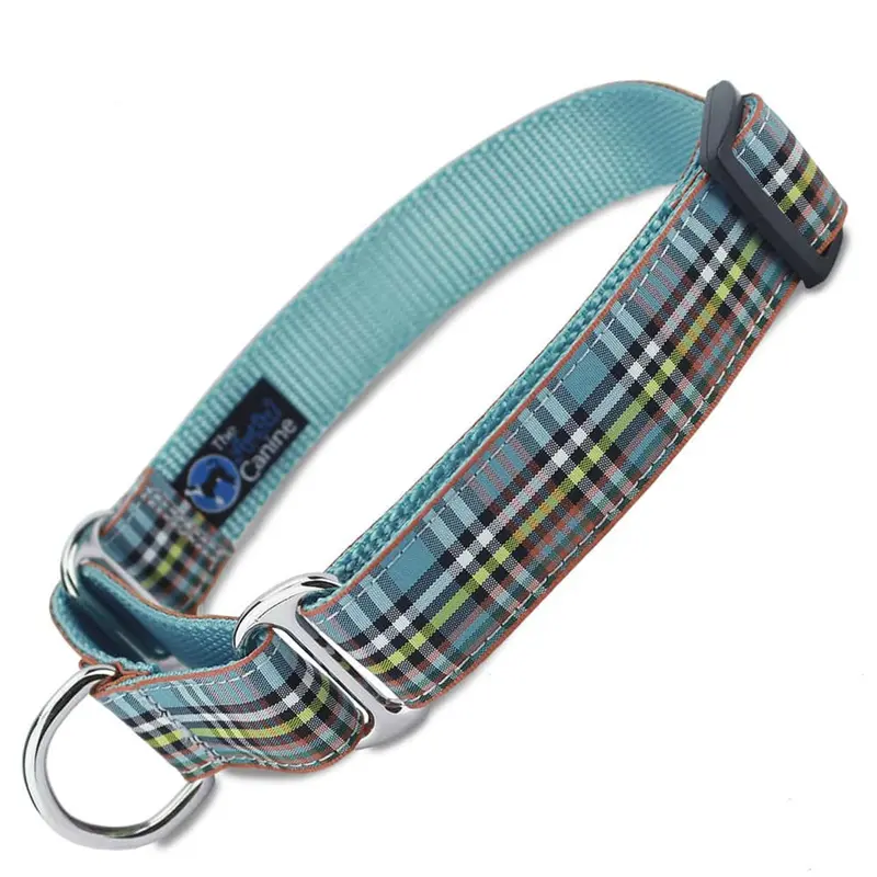 Plaid Martingale Collar, Anderson Tartan