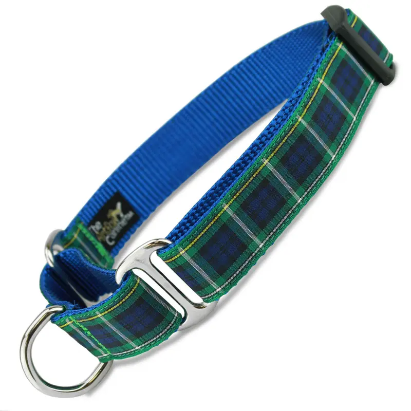 Plaid Martingale Collar, Campbell Tartan
