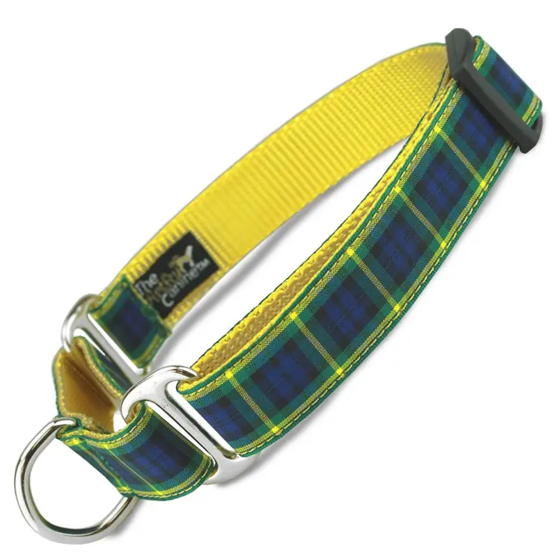 Plaid Martingale Collar, Gordon Tartan
