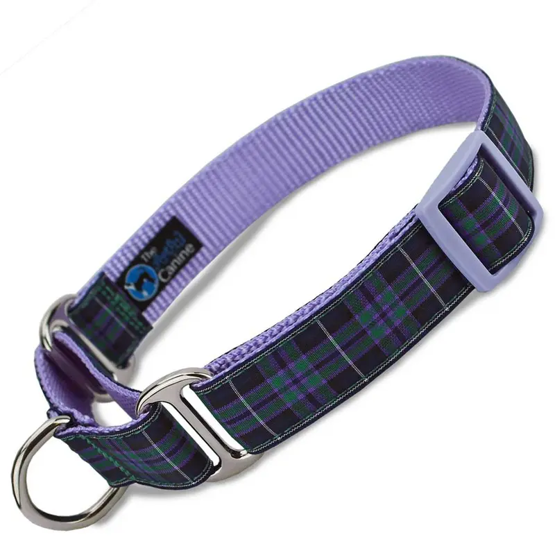 Plaid Martingale Collar, Highland Tartan