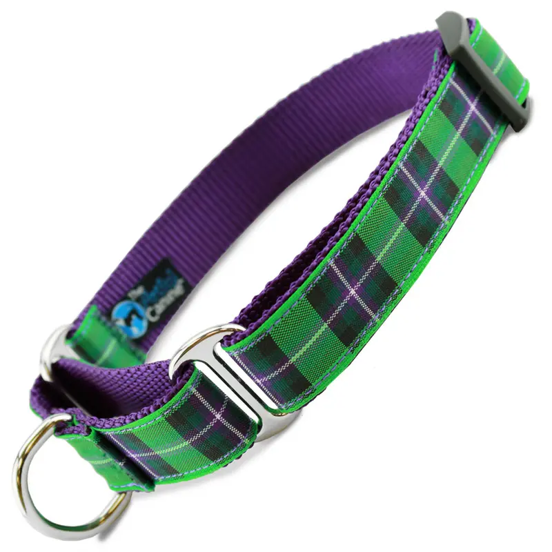 Plaid Martingale Dog Collar, Purple & Green Tartan