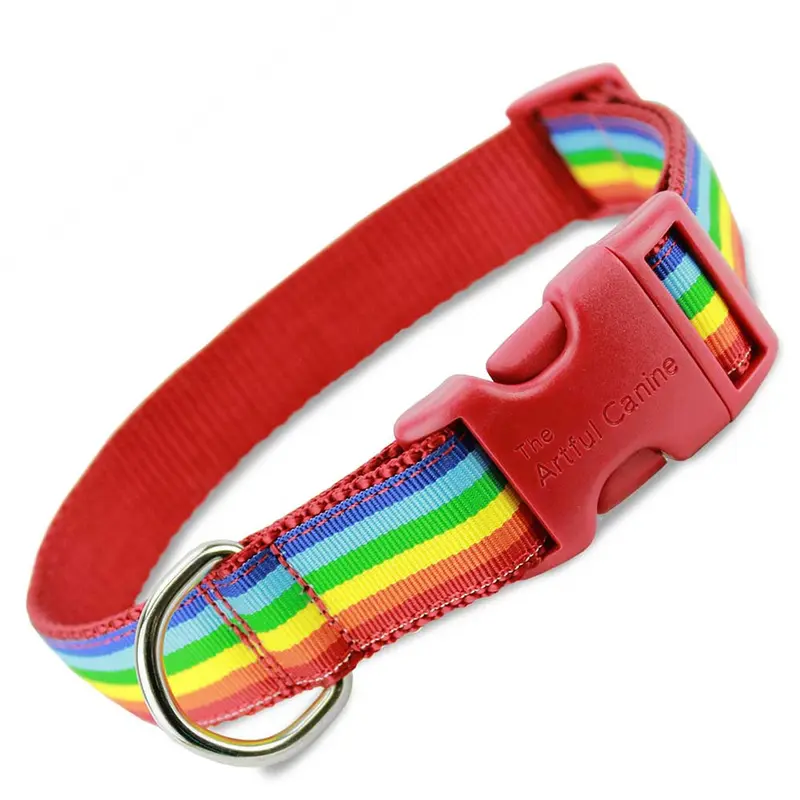 Rainbow Dog Collar
