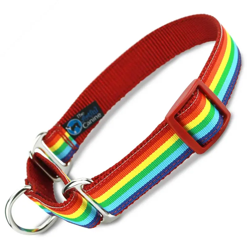 Rainbow Martingale Dog Collar