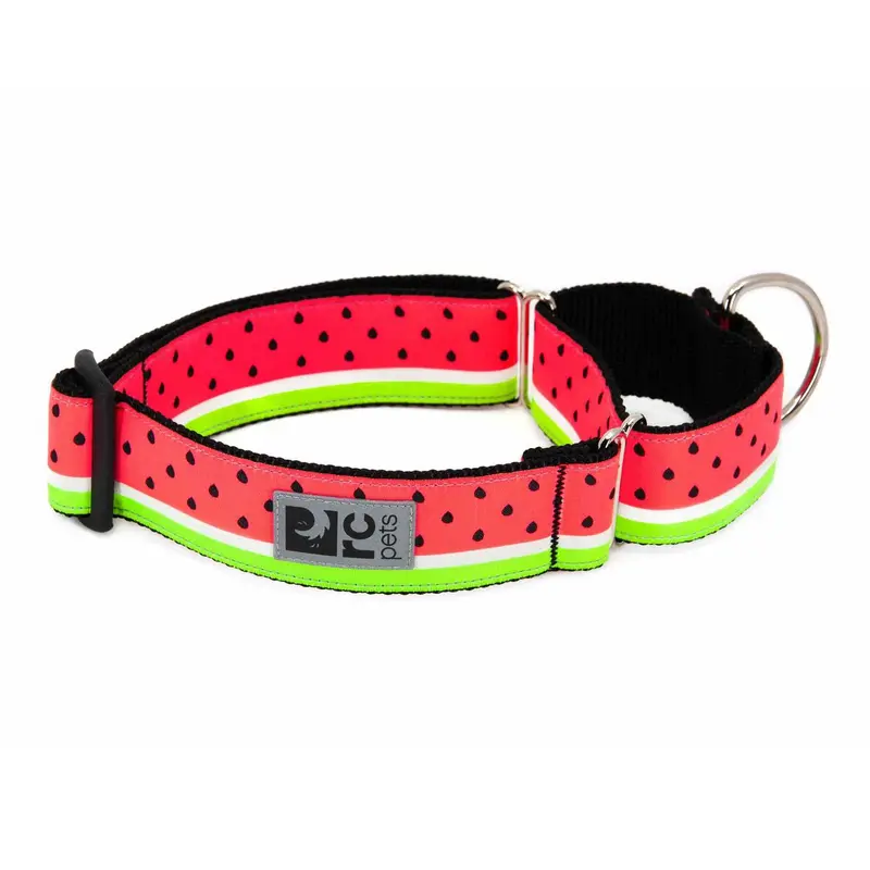 All Webbing Martingale Dog Training Collar - Watermelon