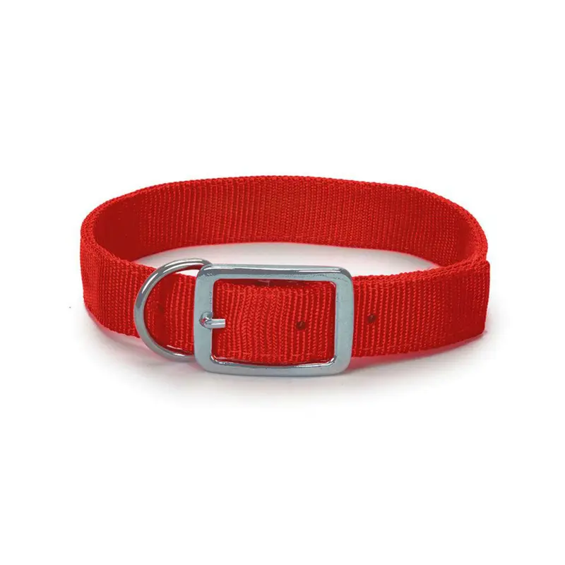 Guardian Gear Double-Web Nylon Hunting Dog Collar - Orange